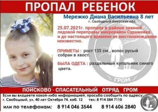 Руководитель ПСО Гром рассказала подробности поисков маленькой Дианы Мережко пропавшей в Свободном 