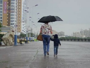 Местами сильные дожди прогноз погоды в Приамурье на 26 июля