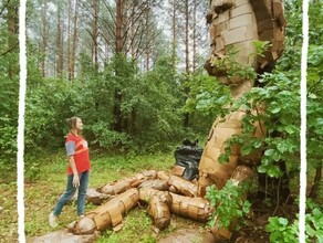 Осознанный землянин покинул лес