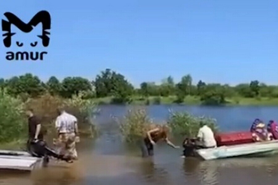 Подъезды к кладбищам  это реальная проблема Изза паводка в амурском селе умерших перевозят на лодках видео