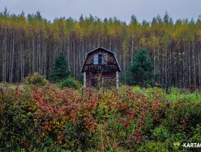 Может ли председатель СНТ продавать заброшенные участки 