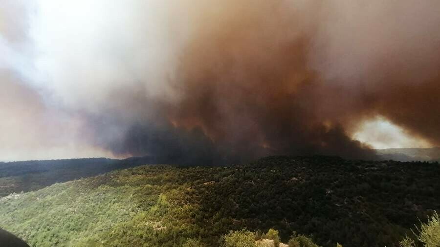 Лесные пожары в Турции вплотную подобрались к туристическим городам 