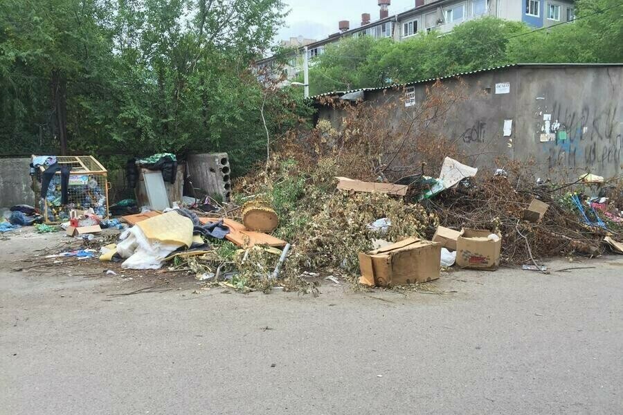 В Амурской области обсудили проблемы связанные с вывозом ТКО