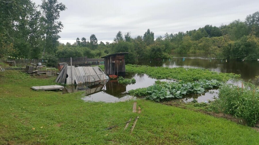 Изза подъема уровня воды в Зее подтапливает участки в Овсянке