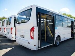 Школьные маршруты в Благовещенске приведут в порядок к учебному году 