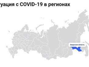 Актуальную информацию о коронавирусных ограничениях в Амурской области и других регионах ДФО нанесли на онлайнкарту