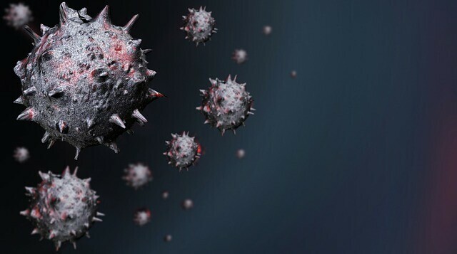 Трое человек за сутки скончались в Амурской области от коронавируса