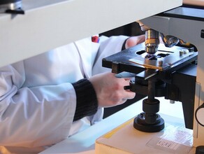 В Амурской области в 10 лабораториях тестирующих на COVID19 выявили серьезные нарушения