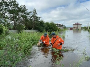 В Белогорске спасатели приходят на помощь обессиленным собакам плывущим в поисках суши фото видео