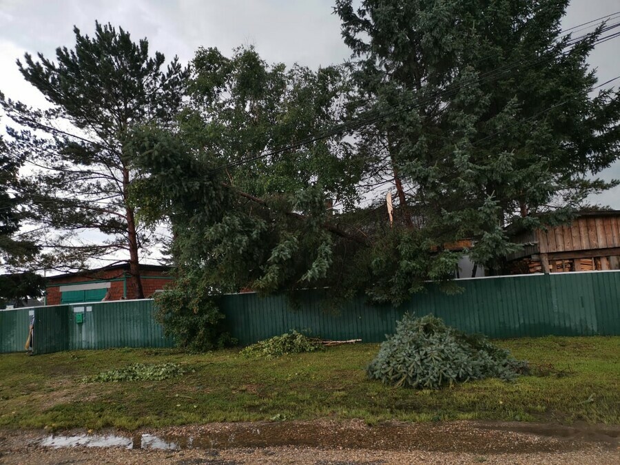 В Мазановском районе ветер повалил деревья и повредил линии электропередачи фото