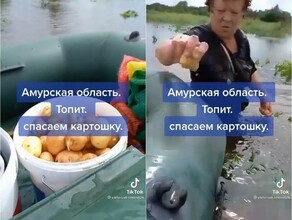 Ныряй с головой В затопленном Приамурье жители спасают урожай картофеля видео