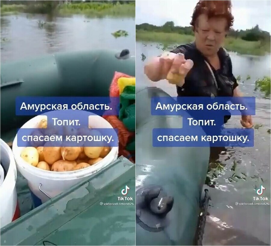 Ныряй с головой В затопленном Приамурье жители спасают урожай картофеля видео