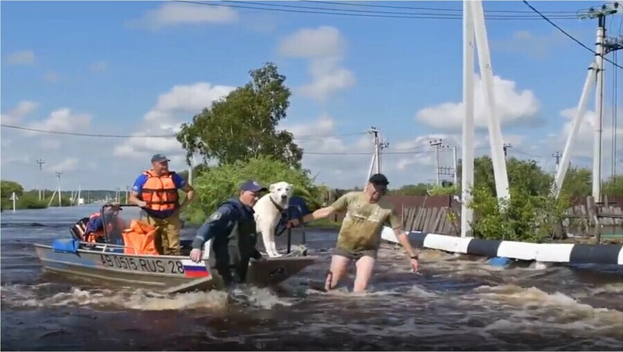 В Амурской области быстрее всех поднимается Селемджа Уровень рек на 2000 8 августа