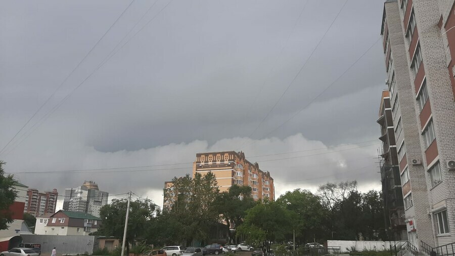 Небольшие дожди и прохлада прогноз погоды в Приамурье на 10 августа