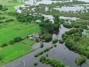 В Забайкалье откуда в Приамурье пришло первое наводнение изза дождей поднимается уровень воды в реках Какие прогнозы