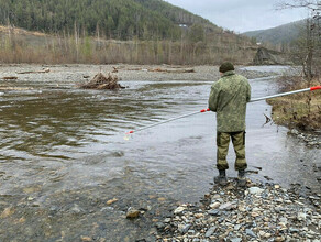 В Амурской области три золотодобывающих компании лишились лицензии за загрязнение рек