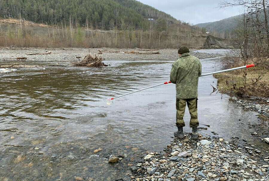 В Амурской области три золотодобывающих компании лишились лицензии за загрязнение рек