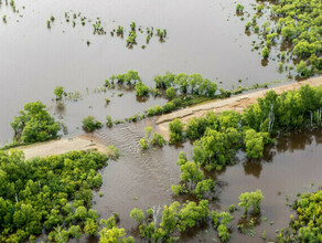 Гребень паводка на Зее прошел в селе Мазаново Прогнозы гидрологов 
