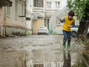 Ливни и грозы прогноз погоды в Амурской области на 5 июля