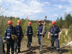 В Амурской области женщине помог выбраться из леса мобильный телефон