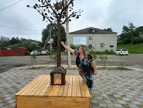 В Благовещенске появилось дерево счастья