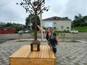 В Благовещенске появилось дерево счастья