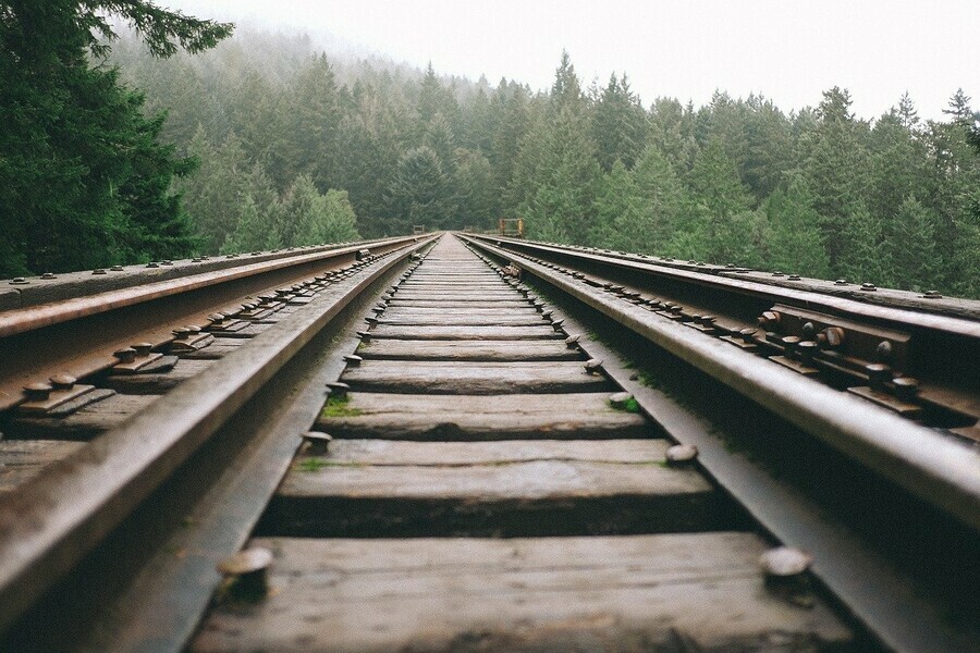 Появились подробности гибели человека под поездом в Амурской области