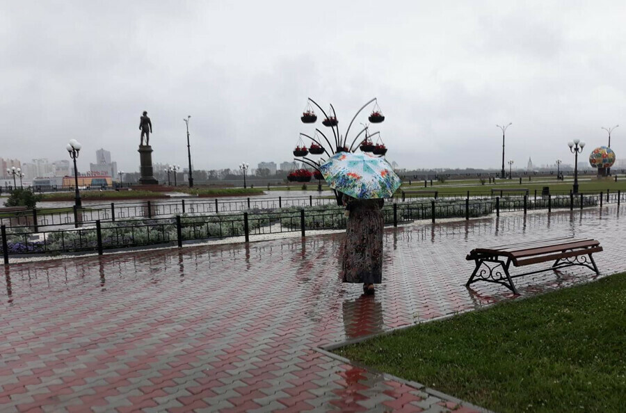 День будет дождливым прогноз погоды в Амурской области на 24 августа