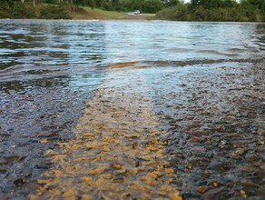 Еще между двумя селами Приамурья дожди перемыли дорогу