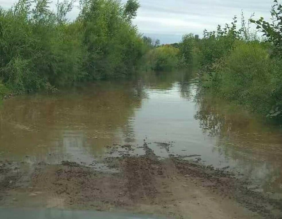 В Амурской области шесть школьных автобусов не встанут на маршруты изза паводка