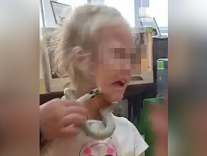 В контактном зоопарке змея укусила в лицо 5летнего ребенка