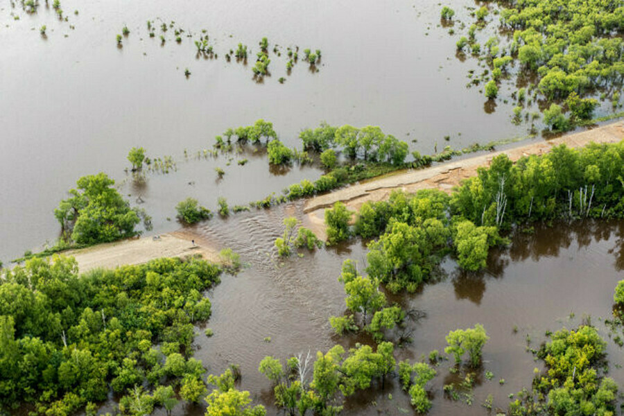 В Амурской области за сутки от воды освободились 35 приусадебных участков