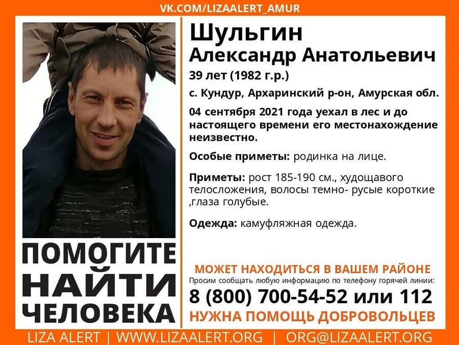 Упал с кедра и погиб в Амурской области пропавшего в лесу мужчину нашли мертвым 