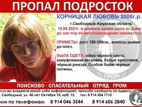 В Амурской области больше суток не могут найти 13летнюю девочку