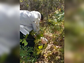 Ее ждала мучительная смерть в Благовещенском районе обнаружили кошку в двух мешках видео 