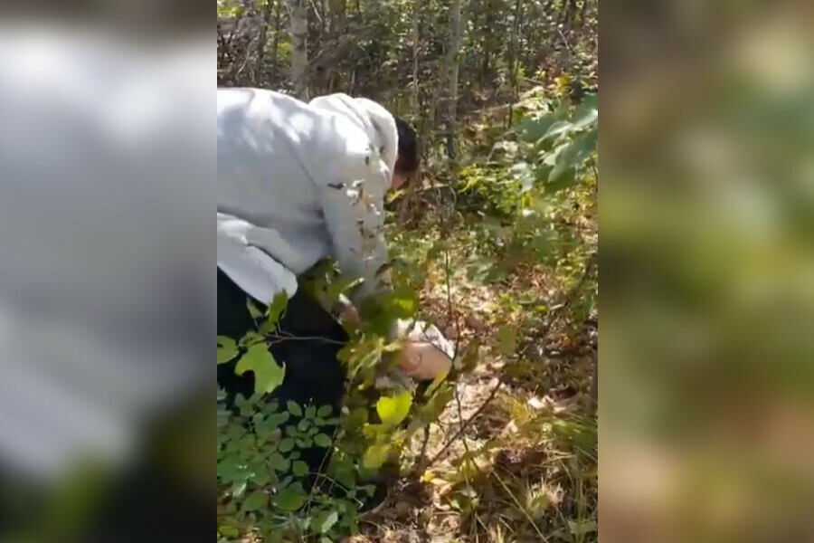 Ее ждала мучительная смерть в Благовещенском районе обнаружили кошку в двух мешках видео 