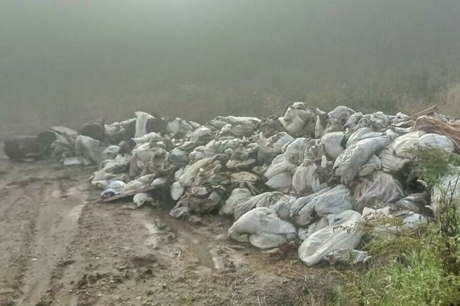 В районе Чигирей обнаружили свалку гербицидов фото видео