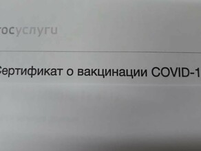 Треть россиян не осуждают тех кто купил поддельный сертификат о вакцинации против COVID19 