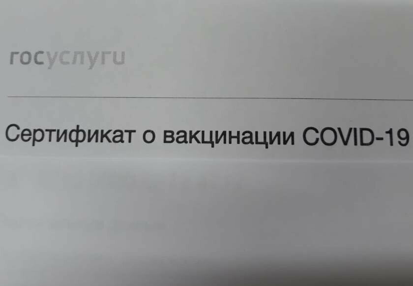 Треть россиян не осуждают тех кто купил поддельный сертификат о вакцинации против COVID19 