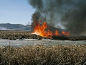 Особый противопожарный режим вводят в Амурской области 