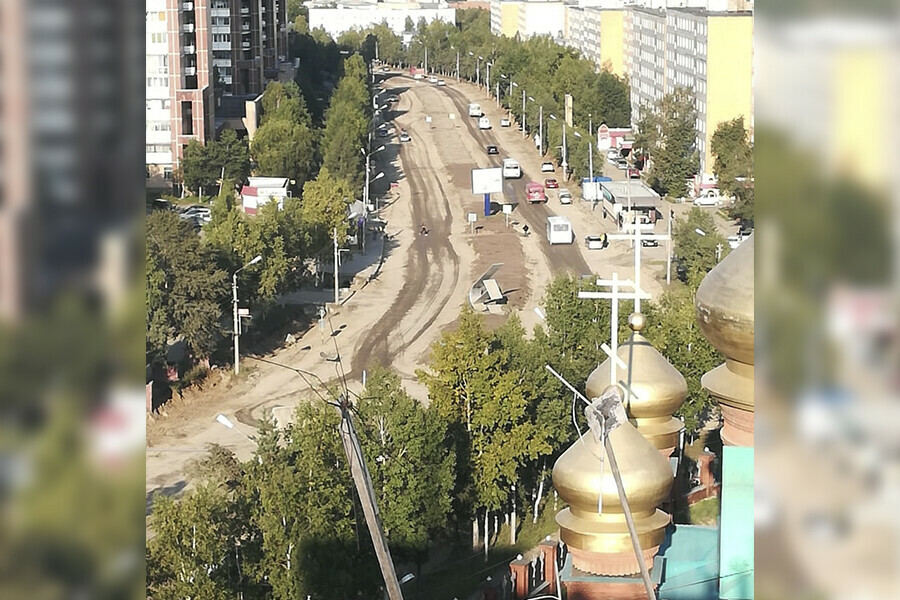 Деревья раздора жители Тынды возмущены действиями мэра фото 