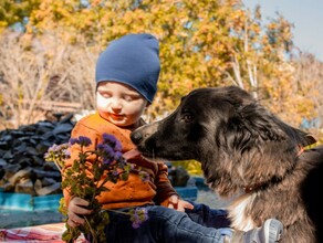 В Благовещенске прошла благотворительная фотоакция  Большой друг маленького человека фото