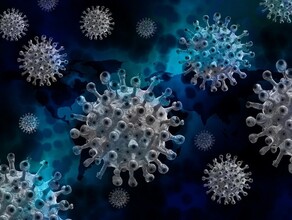 В России предрекли вторую волну коронавируса изза начала учебного года