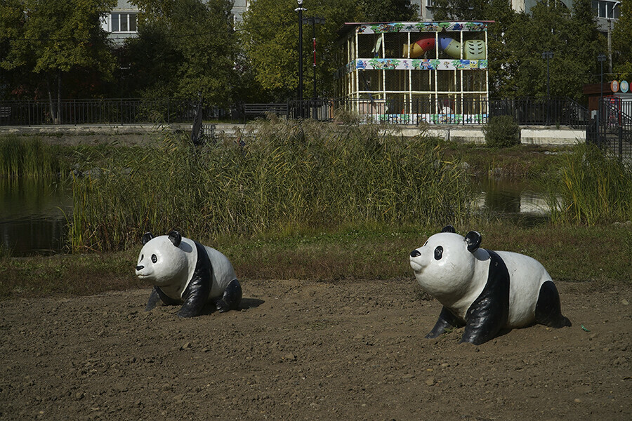 В благовещенском парке Дружбы уберут семейство панд изза строительства пирса фото