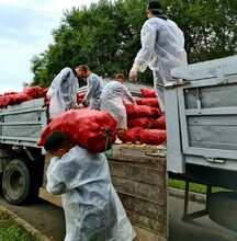 В городской больнице Благовещенска готовятся к новой волне COVID19 Запасаются продуктами и медикаментами