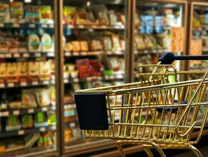 В правительстве РФ предложили новую схему сдерживания цен на продукты