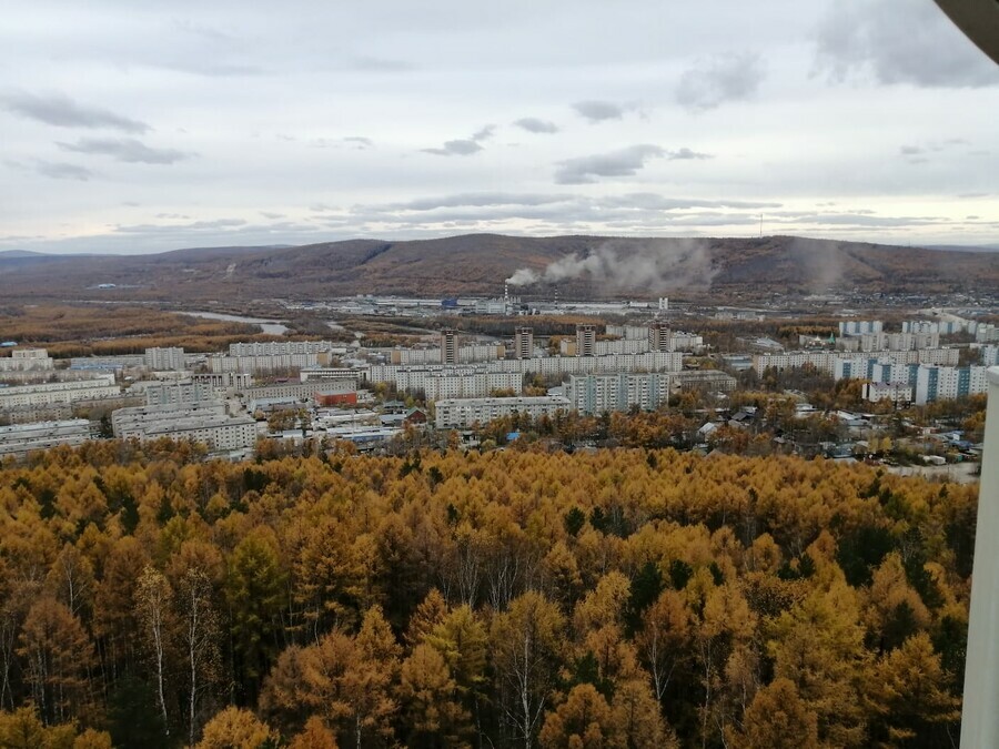 Амурчанин в соцсетях пообещал стереть в порошок женщин Городского дворца культуры