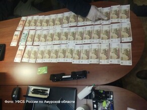 В Амурской области попавшиеся с наркотиками жители Приморья пытались откупиться от сотрудника ФСБ