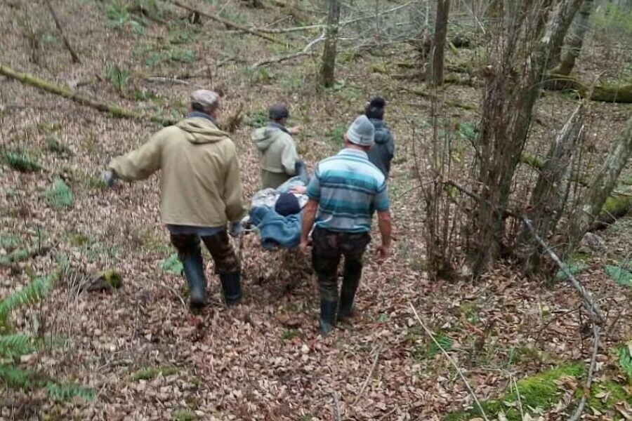 В Приамурье мужчина собирал кедровые шишки и упал с дерева Понадобилась помощь спасателей