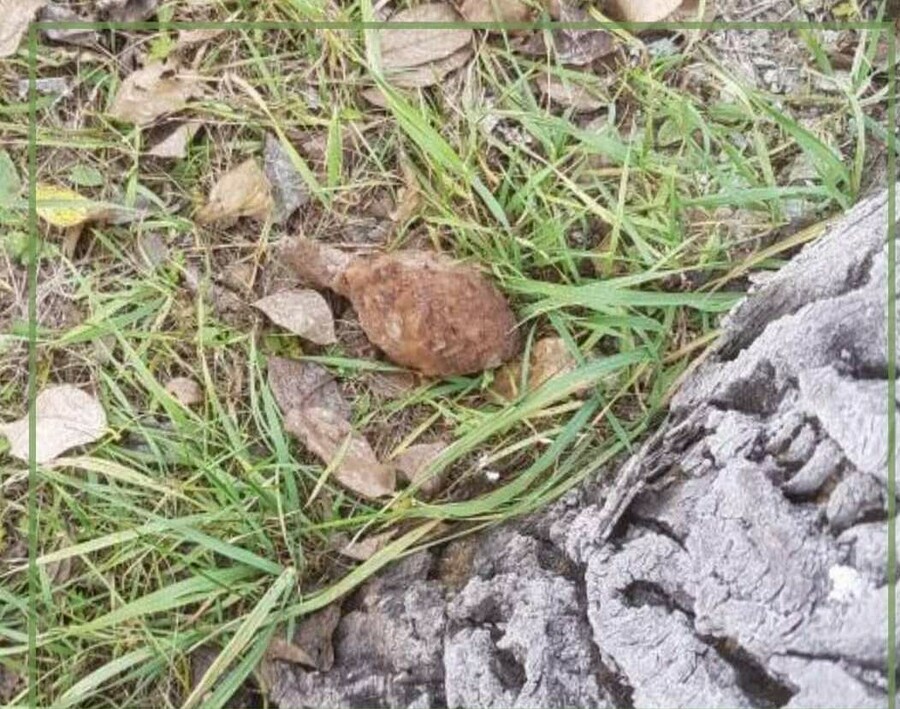 В Амурской области возле жилого дома нашли боевую гранату